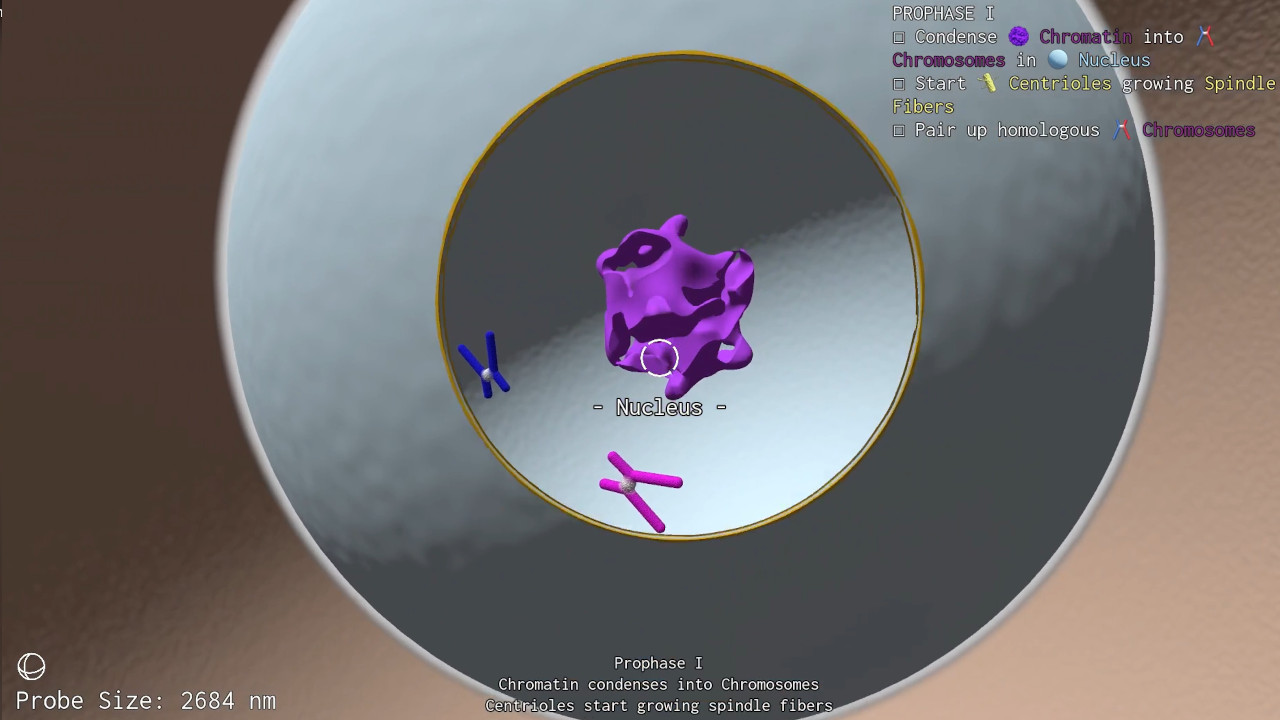 Living Simulations Spotlight
